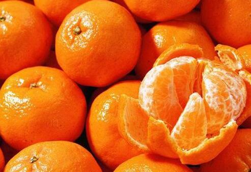 柑橘类水果价格普遍上涨 预计仍有上涨空间-中