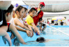 婴幼儿游泳场所水质问题受关注　选泳池注意