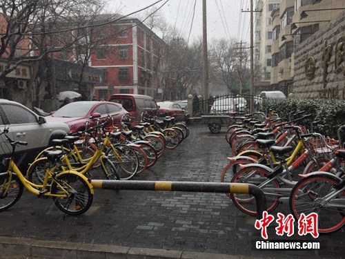 风雪中的共享单车。<a target='_blank' href='http://www.chinanews.com/' >中新网 吴涛 摄