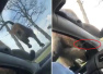 调皮！国外野生动物园猴子从窗缝向车内游客撒尿
