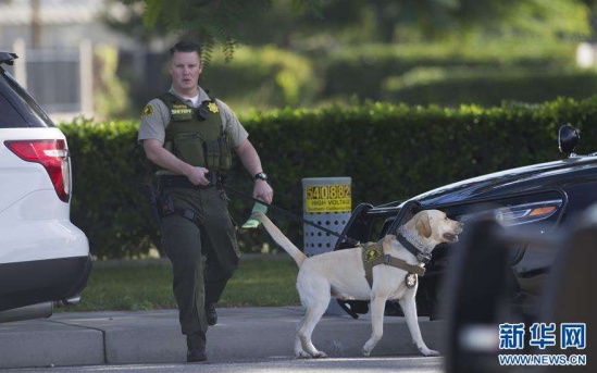 美加州圣迭戈发生枪击案 2人死亡7人受伤