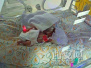 西北妇女儿童医院成功救治 超早产“巴掌婴儿”