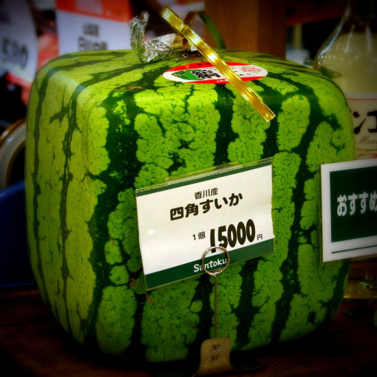 日本西瓜韩国黄瓜 国外天价蔬果你了解多少