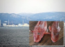 可怕！日本福岛核电站附近发现超标“辐射鱼”