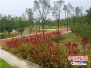 【水到渠成共发展】郑州南水北调生态文化公园　打造航空港区“金腰带”