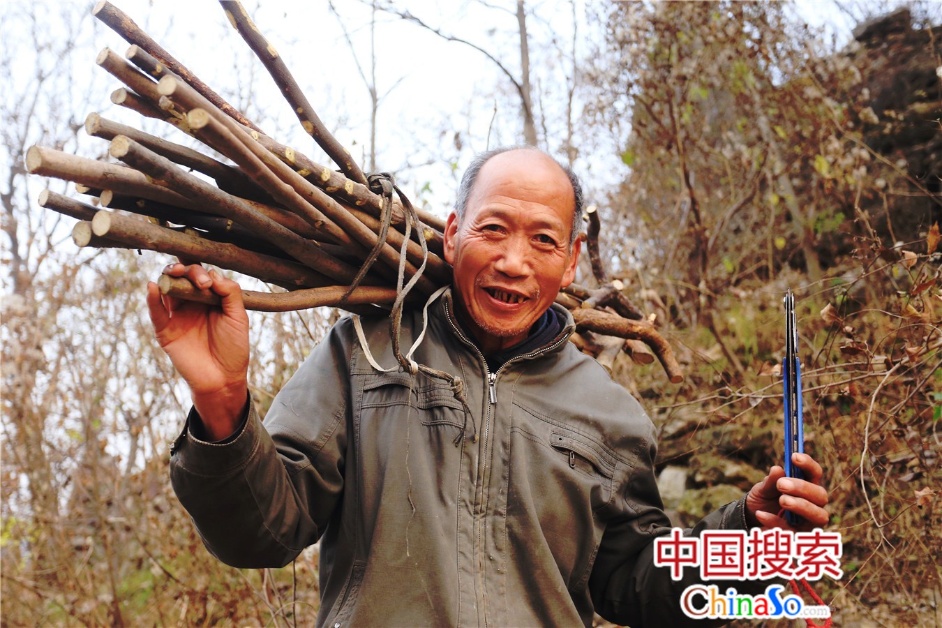 2018年11月24日，河南鹤壁，张斗贵在村子周边的山上寻找制作登山拐杖枯木枝。


