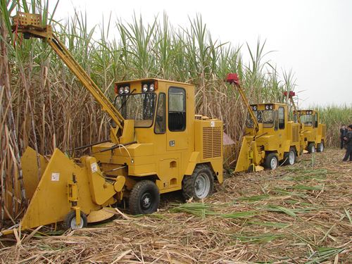 广西推出蔗担贷推动制糖业发展