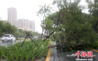 台风“塔拉斯”擦过海南岛南部 交通受较大影响