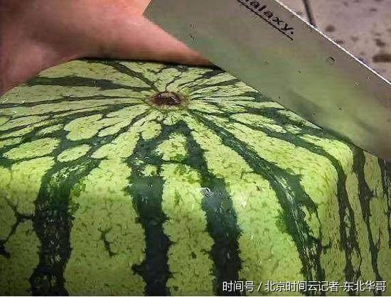 日本方形西瓜一个售价近千元人民币 日本方形西瓜好吃吗？