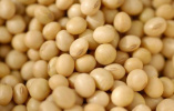 研究发现豆子有独特的抗癌作用　女人吃防乳癌