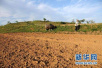 河北省今年完成农用地土壤污染状况详查！